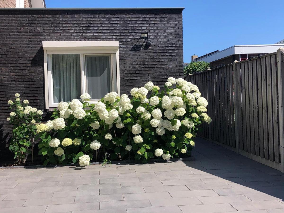 Zoutelande Koddelaan Vakantiewoning Exteriér fotografie