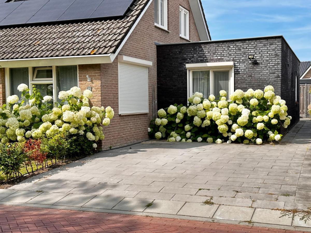 Zoutelande Koddelaan Vakantiewoning Exteriér fotografie