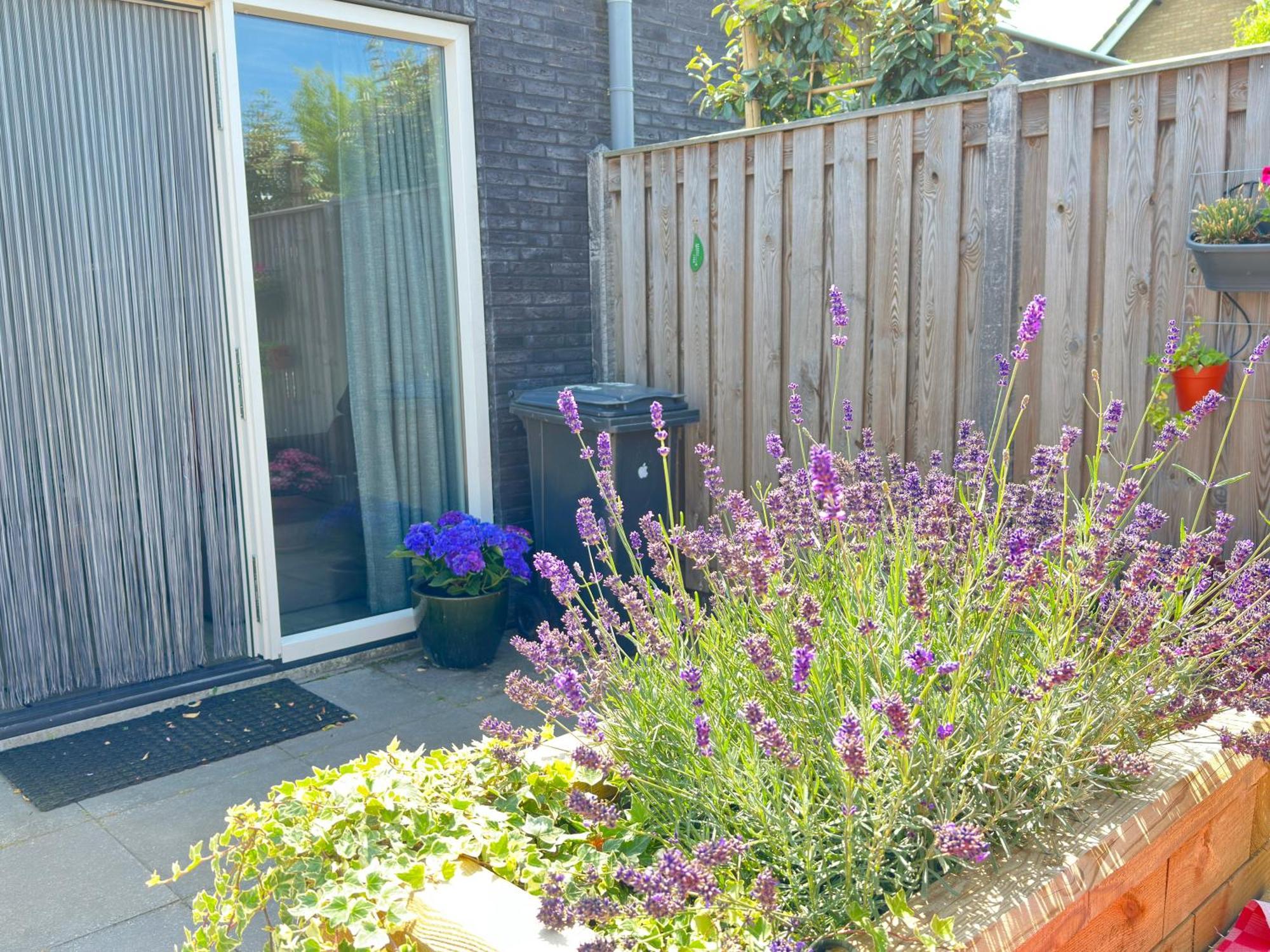 Zoutelande Koddelaan Vakantiewoning Exteriér fotografie